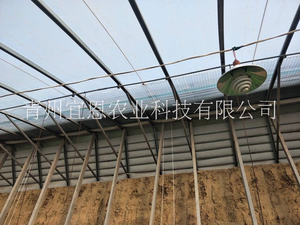 山東幾字鋼日光溫室、日光溫室廠家