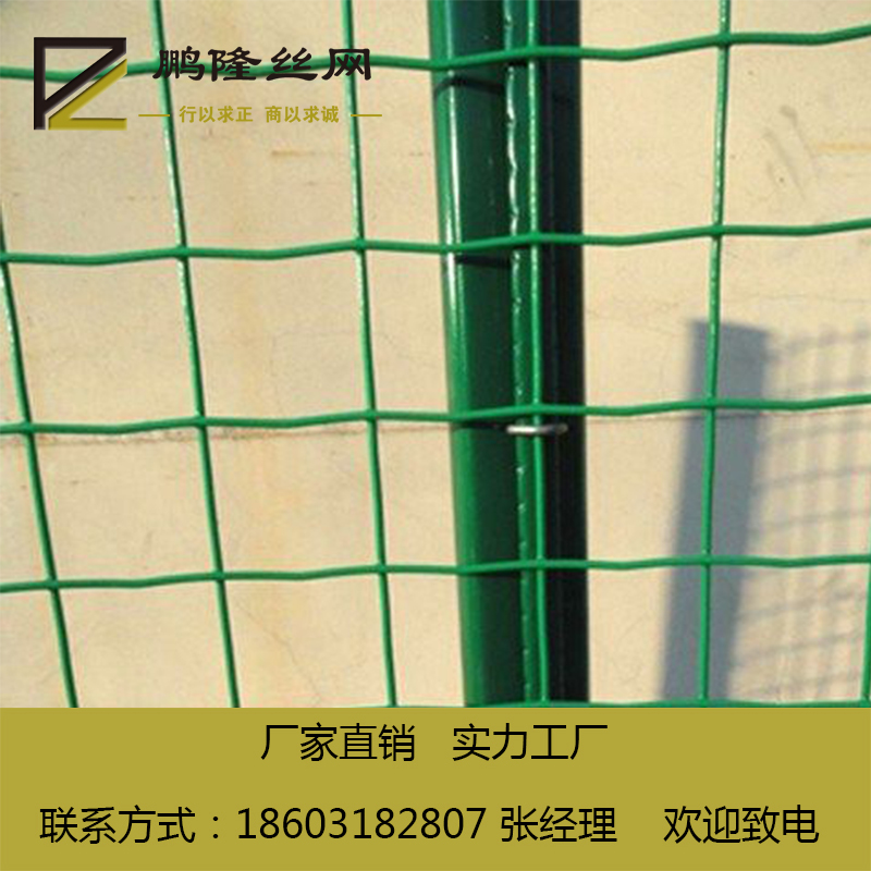 供應(yīng) 河北鵬隆絲網(wǎng) 公路防護(hù)網(wǎng) 硬塑荷蘭網(wǎng) 60*60 波浪網(wǎng) 大量現(xiàn)貨