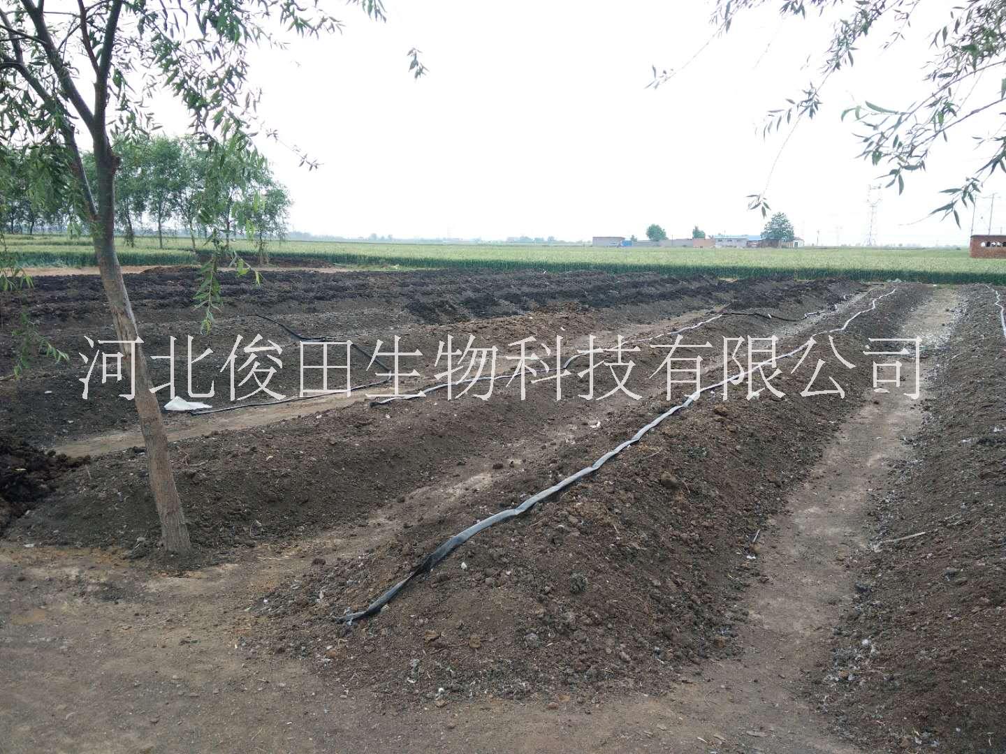 蚯蚓糞營養(yǎng)土營養(yǎng)缽廠家批發(fā)改善土壤*優(yōu)質(zhì)蚯蚓糞營養(yǎng)缽營養(yǎng)土