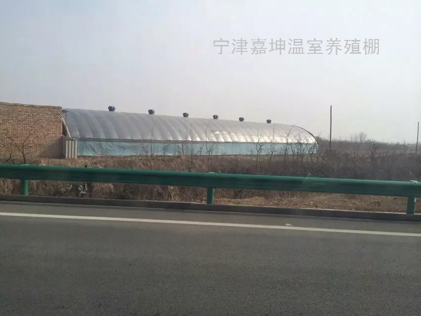 保溫雞棚鴨棚豬棚  養(yǎng)殖大棚造價(jià) 搭建溫室養(yǎng)殖大棚