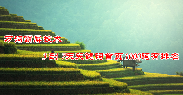 你一定要知道的服裝店網(wǎng)絡(luò)推廣方法