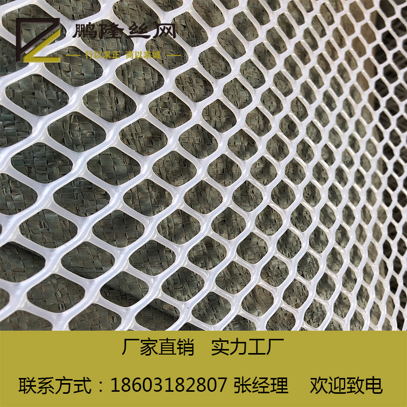 供應(yīng)河北鵬隆絲網(wǎng)  養(yǎng)蝦塑料平網(wǎng) 水產(chǎn)養(yǎng)殖塑料平網(wǎng) 養(yǎng)螃蟹塑料網(wǎng) *廠家 養(yǎng)雞*塑料平網(wǎng)