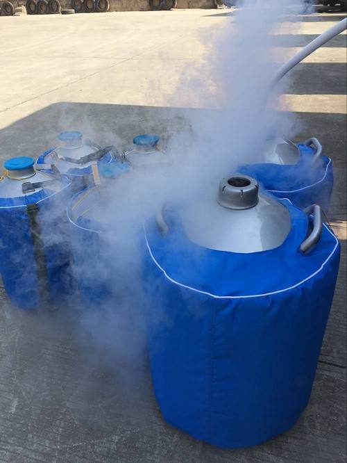 江門液氮 液氮罐 液氮杯出租 零售