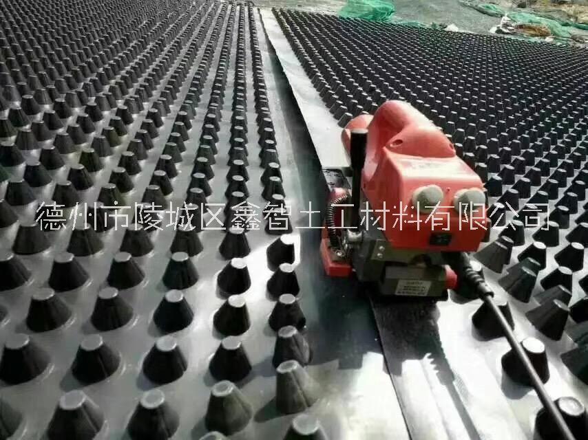 山東防水防滲毯廠家批發(fā)價格
