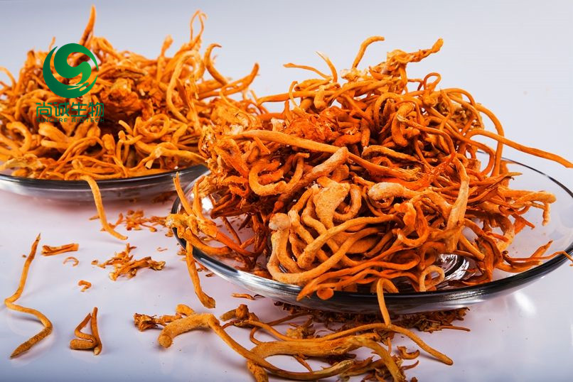 生姜提取物 姜辣素