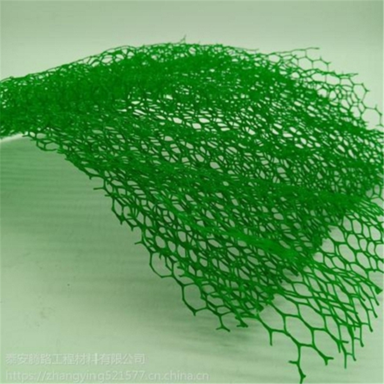 泰安拓聯(lián)三維植被網(wǎng)廠家  三維植被網(wǎng)價(jià)格 邊坡防護(hù)三維植被網(wǎng) 廠家供應(yīng)三維植被網(wǎng)