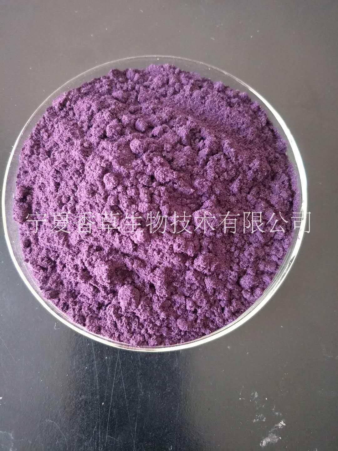 紫山藥提取物批發(fā)紫山藥粉 /熟化山藥粉廠家
