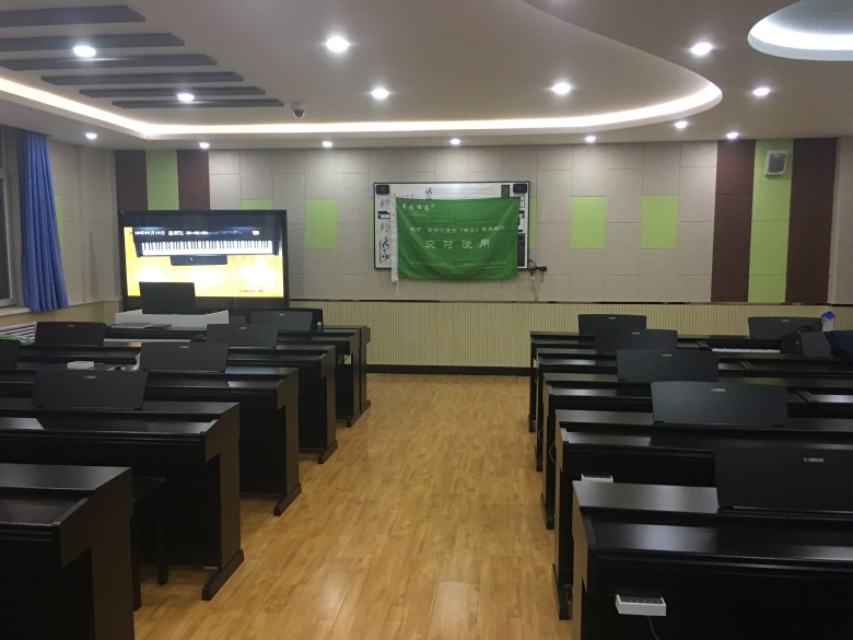 數(shù)碼鋼琴電鋼琴電子琴集體課教學(xué)