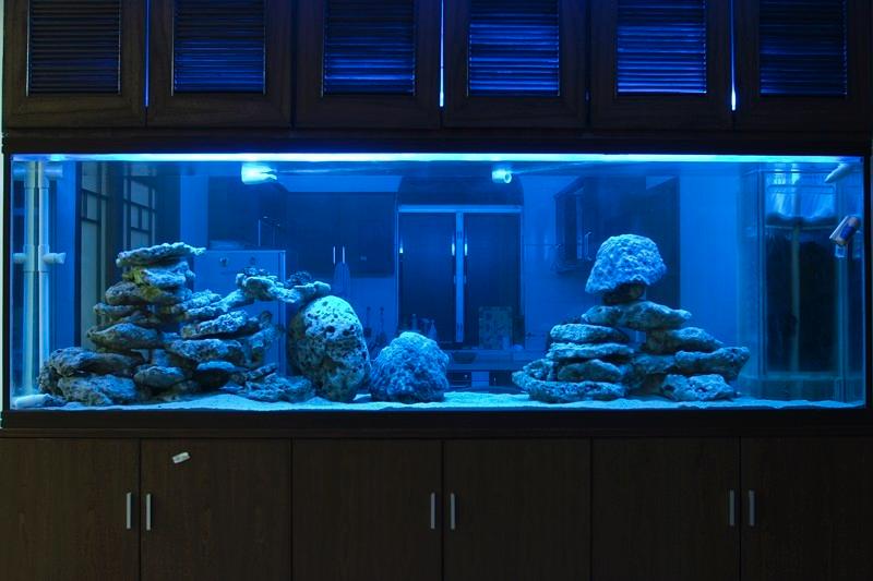 廣州魚缸廠家、黃埔區(qū)上門定制魚缸、黃埔區(qū)魚缸造景，黃埔區(qū)魚缸水渾濁