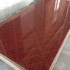 竹膠板@婁底房建竹膠板多少錢一張