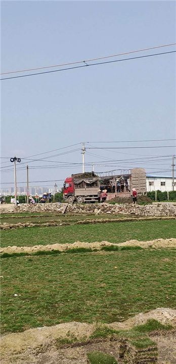 云南草場(chǎng)-云南草場(chǎng)廠家批發(fā)-價(jià)格- 云南草場(chǎng)