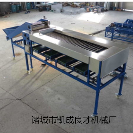 供應果蔬選果機