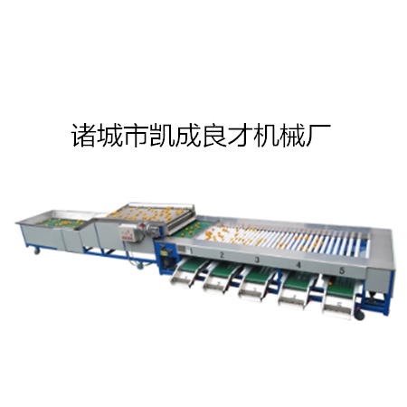 供應果蔬選果機