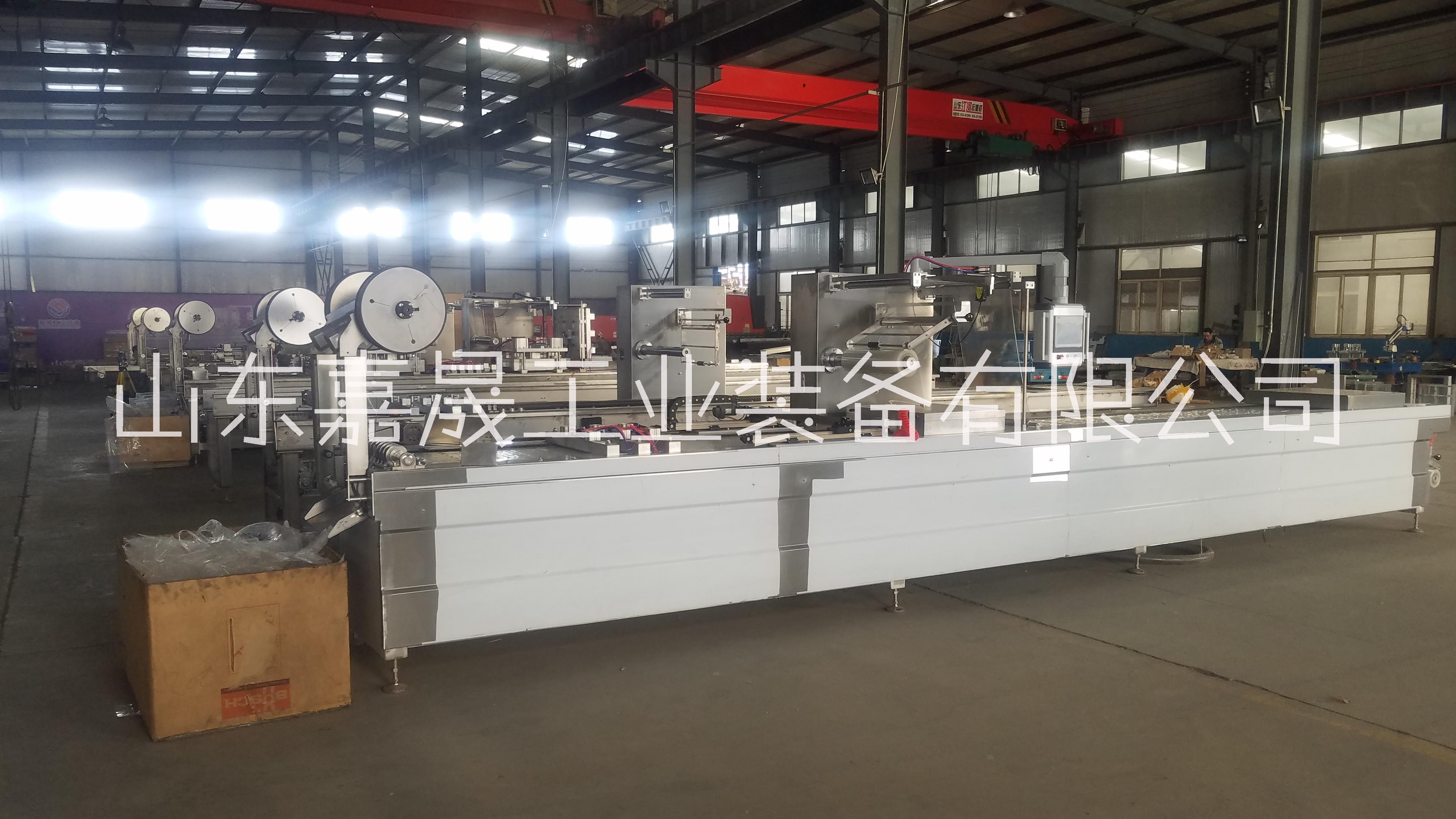 嘉晟牌連續(xù)式拉伸膜包裝機 嘉晟牌拉伸膜真空包裝機