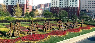 城市美化仿真綠雕各種造型來圖定制