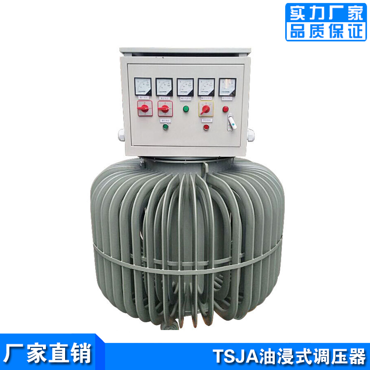 撫順油浸式調(diào)壓器廠家-TSJA-300KVA全銅芯調(diào)壓 0-650V