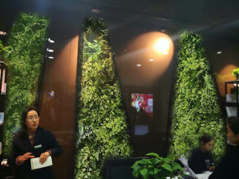 垂直綠化植物墻雄安保定昊帥專業(yè)安裝