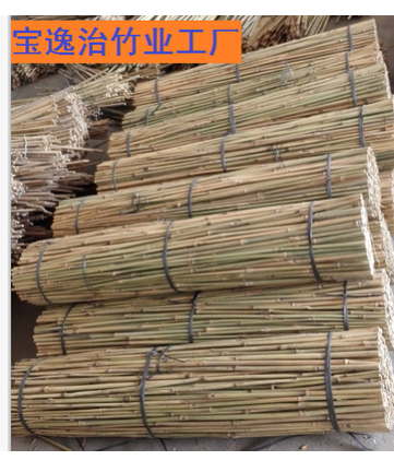 厘竹批發(fā) 厘竹批發(fā)商 厘竹廠家批發(fā) 茶竹稈