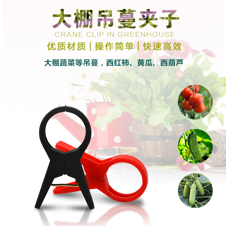 13475050444新疆黃瓜種植 吊秧夾 落秧夾綁蔓