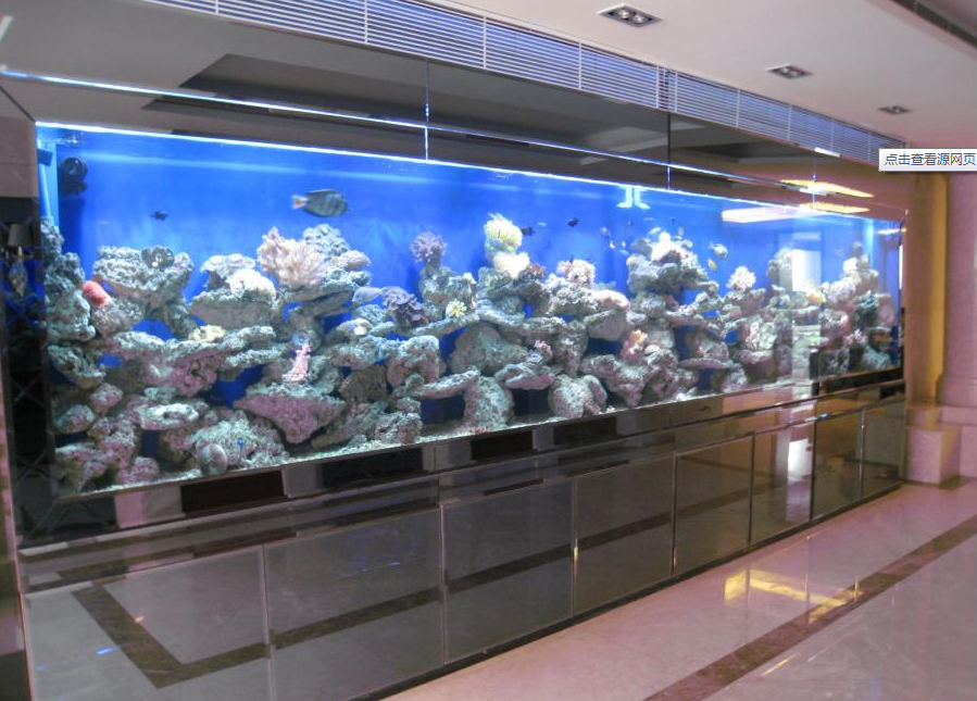 廣州魚缸設(shè)計(jì)、越秀區(qū)魚缸定制、大新上門訂做魚缸