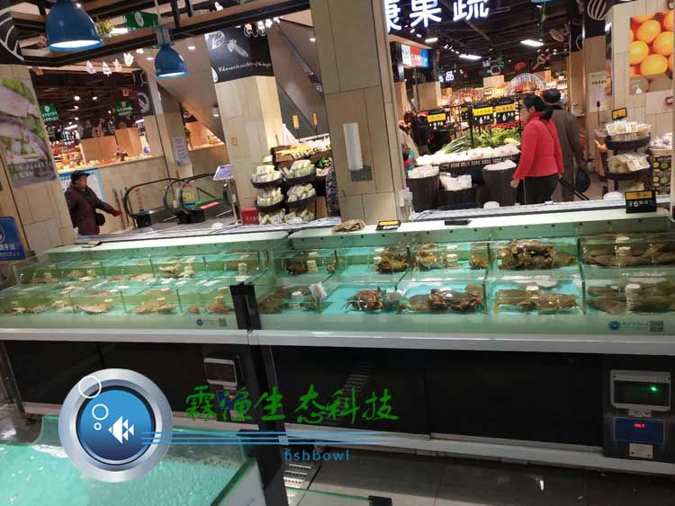 廠家直銷移動海鮮貝類池超市暫養(yǎng)池酒店海鮮池水產(chǎn)暫養(yǎng)池生態(tài)養(yǎng)殖池生鮮池可定制