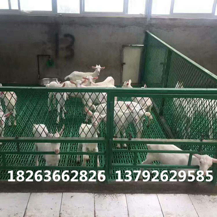 羊漏糞板  養(yǎng)羊*塑料漏糞板 羊漏糞板廠家