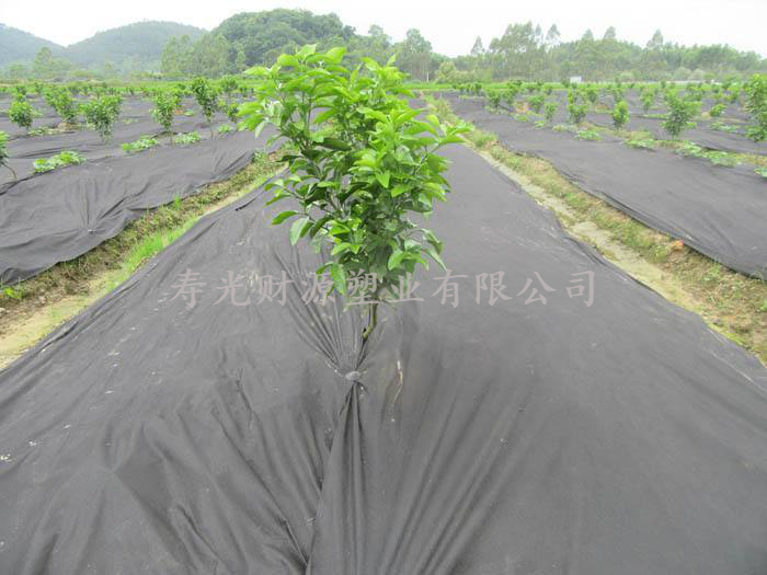 供應(yīng)  茶園防草布/果園防草布/防草布生 茶園防草布/果園防草布/防草布廠