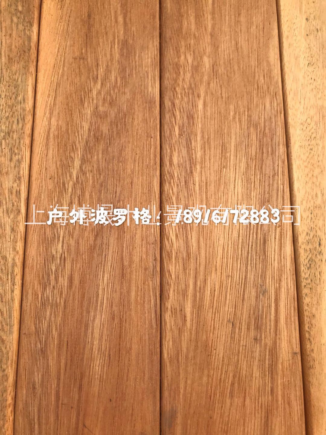 塔利 菠蘿格 非洲菠蘿格 印尼菠蘿格