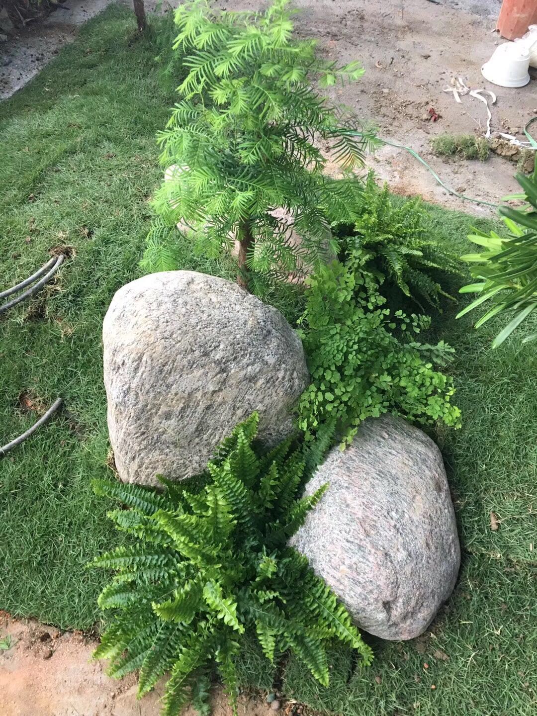 深圳寶安區(qū)園林景觀-寶安區(qū)園林景觀設計-寶安區(qū)園林景觀公司