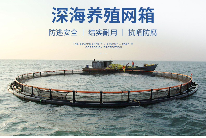 深?？癸L浪網(wǎng)箱價格、批發(fā)、定做、供應商【湖南鑫海股份有限公司】