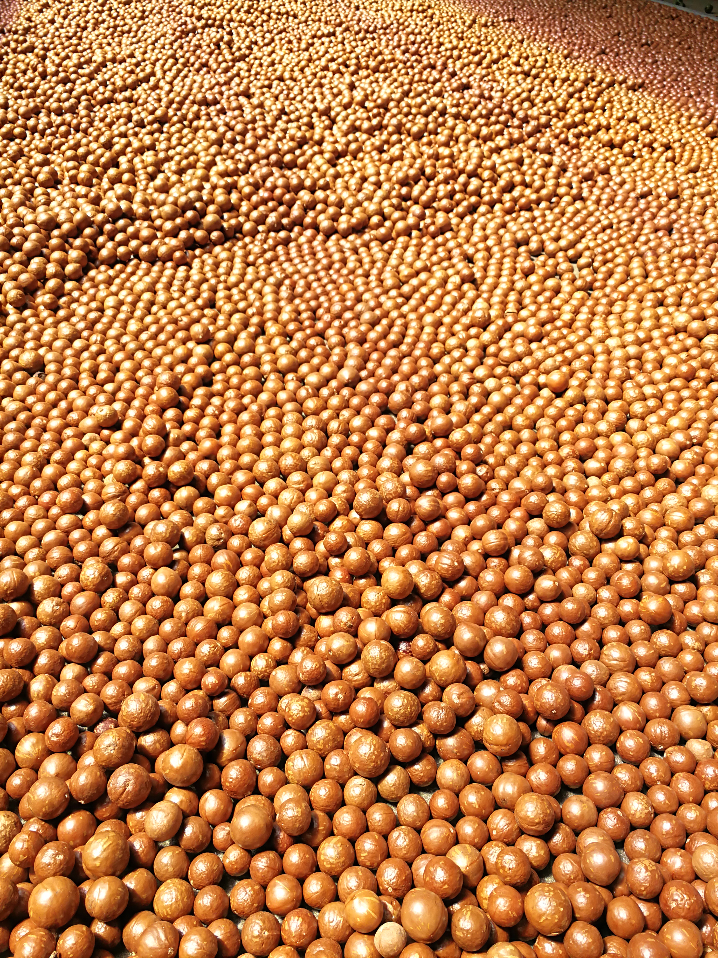 散裝原味堅(jiān)果