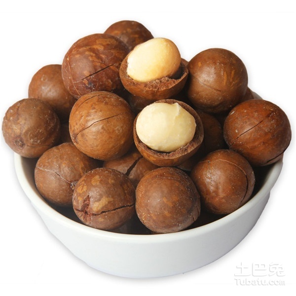 廣西南寧澳洲堅(jiān)果種植基地_廣西南寧澳洲堅(jiān)果批發(fā)價(jià)格_【廣西澳一澳農(nóng)業(yè)科技有限公司】
