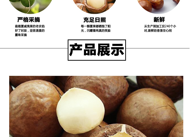江西澳洲堅果種植基地_江西澳洲堅果批發(fā)價格_【廣西澳一澳農(nóng)業(yè)科技有限公司】