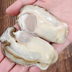 杭州牡蠣批發(fā) 銷售 養(yǎng)殖 生蠔批發(fā)