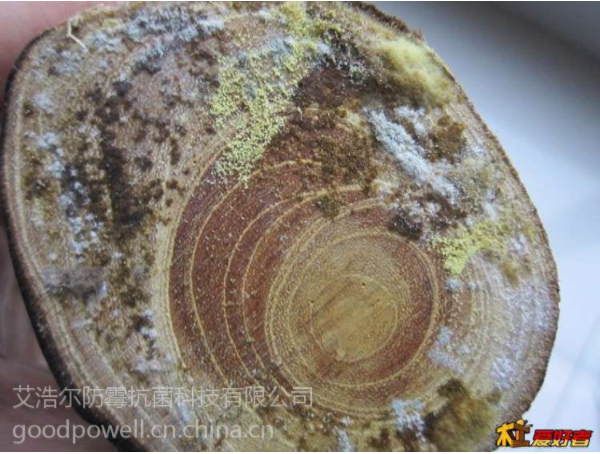 深圳廠家供應(yīng)防霉達(dá)到280天的竹木浸泡型防霉劑iHeir-JP