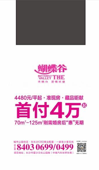 長(zhǎng)沙背心袋/購(gòu)物袋