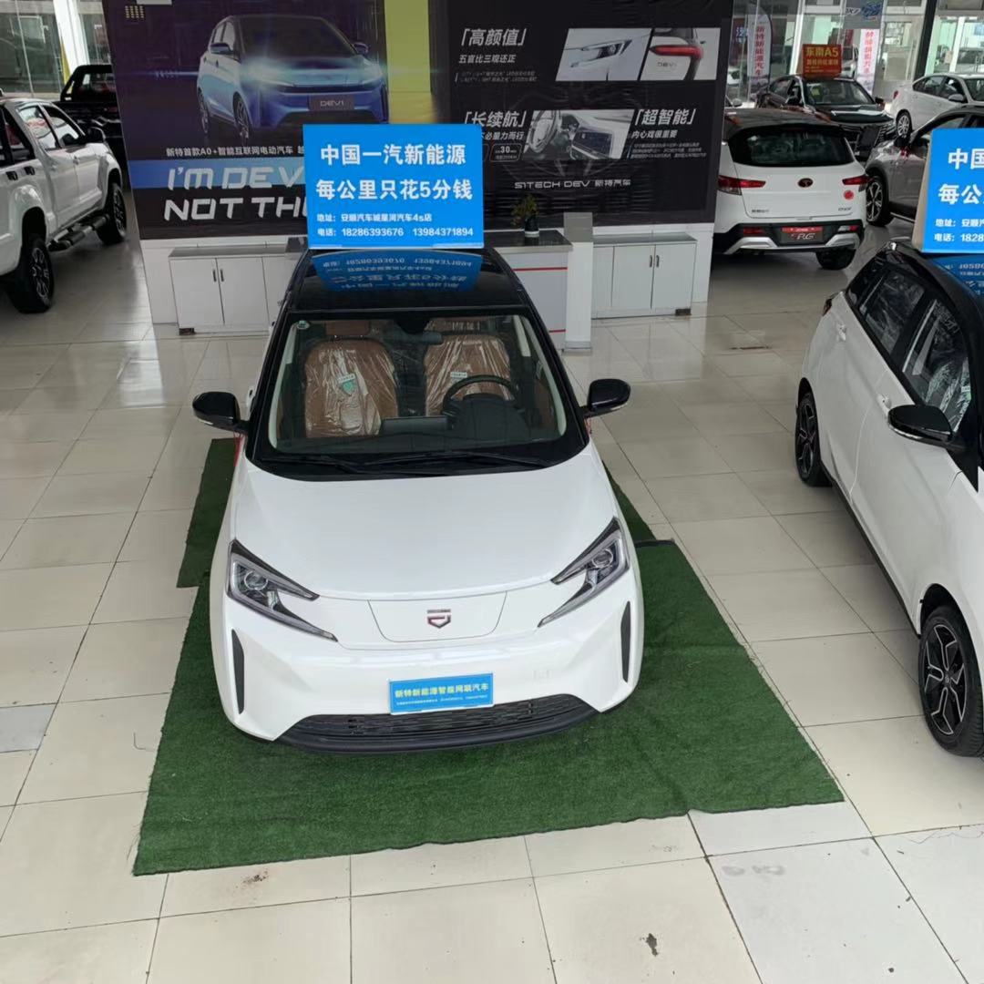 新特新能源汽車