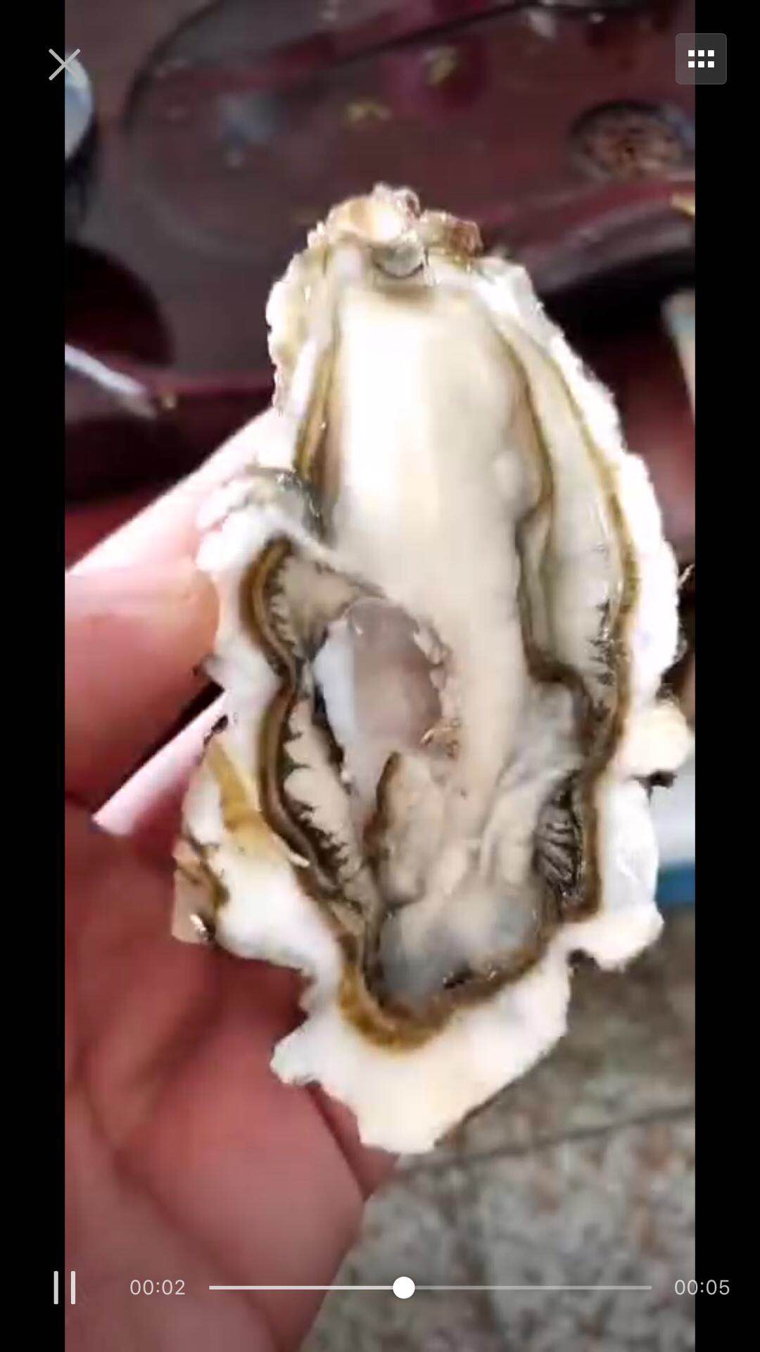 杭州牡蠣批發(fā) 銷售 養(yǎng)殖 生蠔批發(fā)