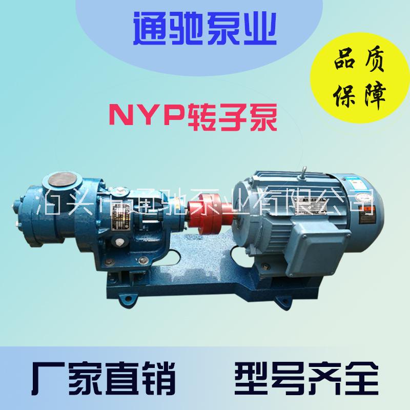 NYP高粘度轉(zhuǎn)子泵生產(chǎn)廠家現(xiàn)貨批發(fā)結(jié)構(gòu)膠輸送齒輪泵