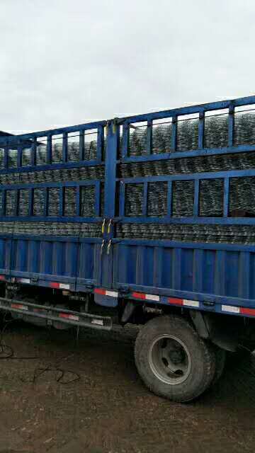 廠家直銷美格網(wǎng)A冷鍍鋅熱鍍鋅美格