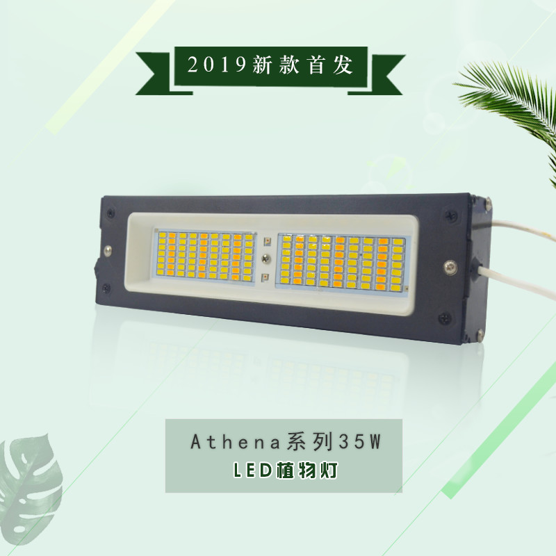 承越植物生長燈led廠家植物工廠用植物補光燈大棚種植日照燈定制