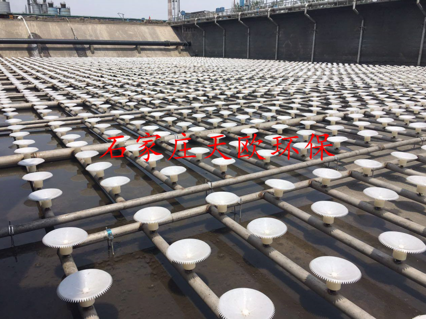 曝氣池260旋混曝氣器微孔曝氣盤廠家