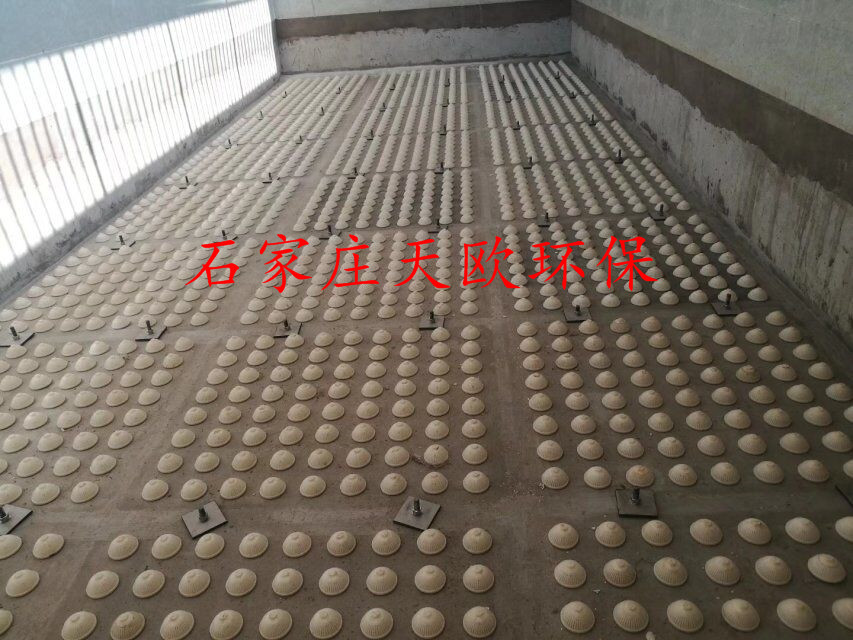 ABS濾頭水帽反沖洗濾帽廠家直銷各種規(guī)格型號(hào)