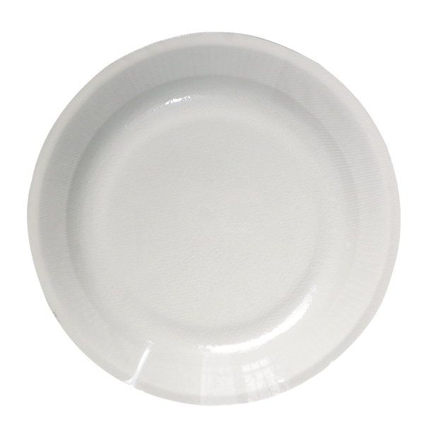 奇正 HZ-014 一次性盤子 10寸 20只/包