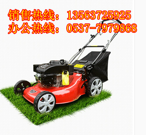 手推剪草機(jī) 手推式割草機(jī) 草坪除草機(jī) 草坪機(jī) 除草機(jī) 剪草機(jī) 手推剪草機(jī) 割草機(jī) 草坪修剪機(jī)