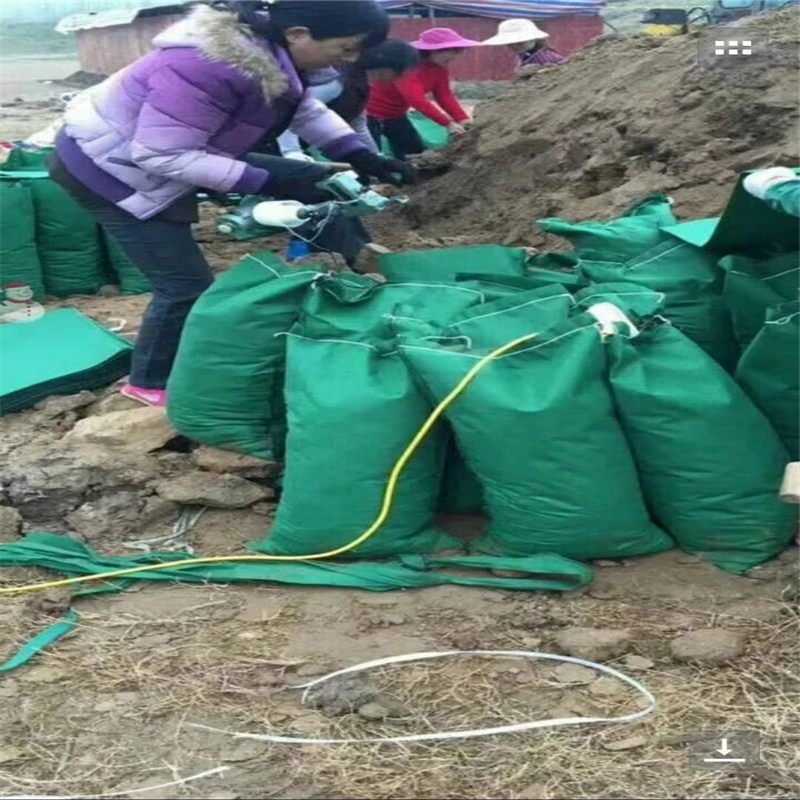 山東生態(tài)袋規(guī)格及生態(tài)袋2019報價