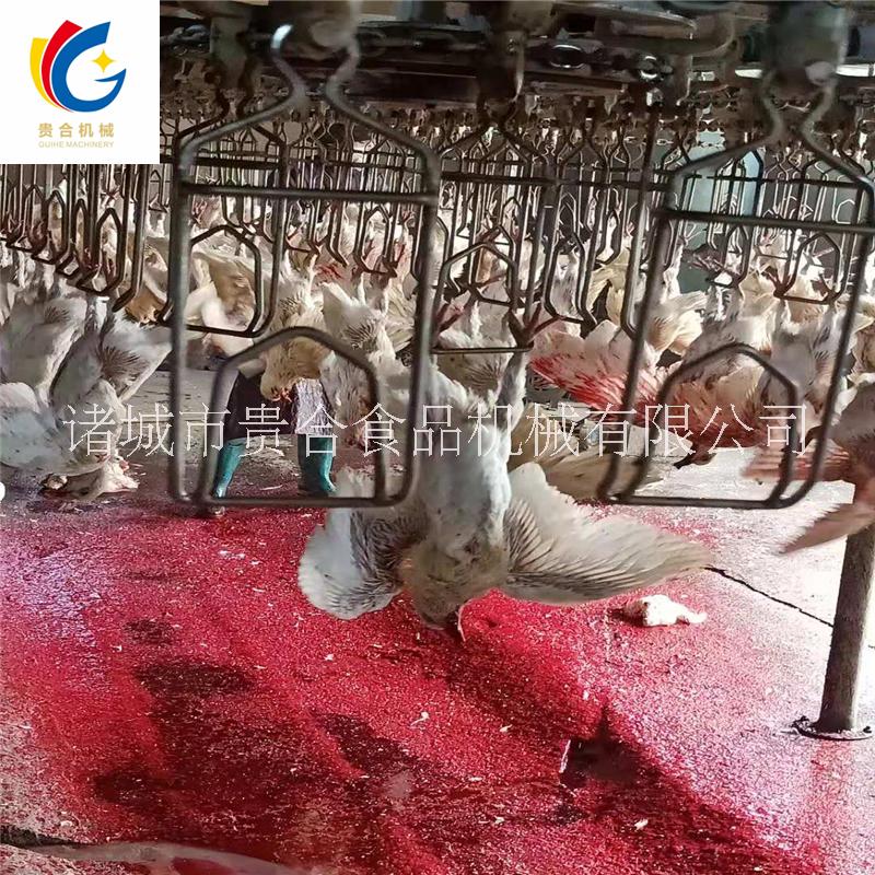 鴿子自動(dòng)宰殺流水線 家禽屠宰設(shè)備 家禽屠宰成套設(shè)備定制 鴿子自動(dòng)宰殺機(jī)器