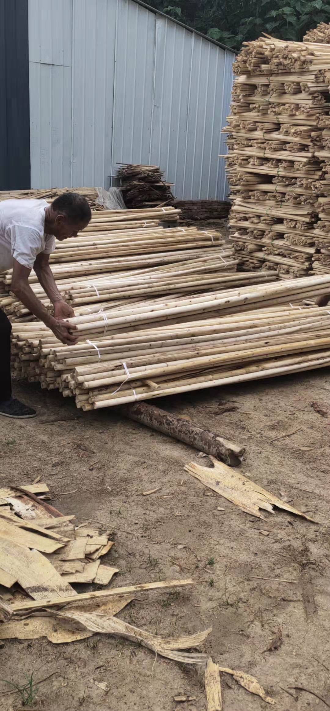 楊木綠化桿/生產(chǎn)廠家/批發(fā) 長期發(fā)車各種型號楊木綠化桿