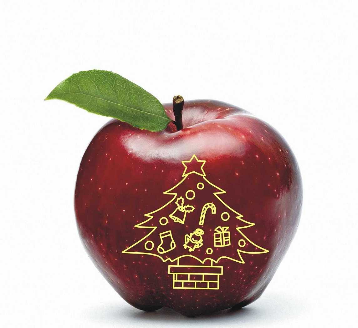 蔬菜水果印字機多少錢 蘋果印字機印刷視頻 蘋果印字機原理 遼寧沈陽桃子梨芒果西瓜印刷機價格
