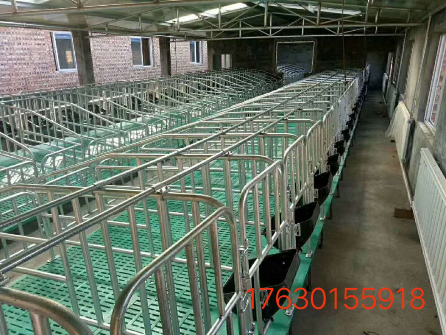 育肥欄母豬定位欄豬用限位欄豬用單體欄位廠家熱銷